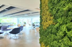 moss wall